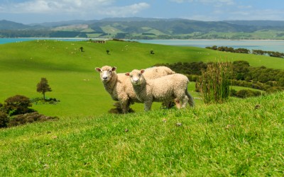 Fakta Unik dan Menarik dari Berbagai Negara Dunia